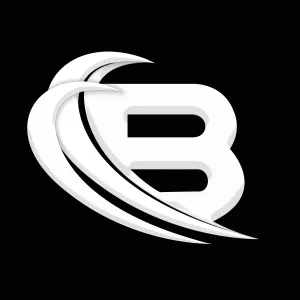 Bizzord
